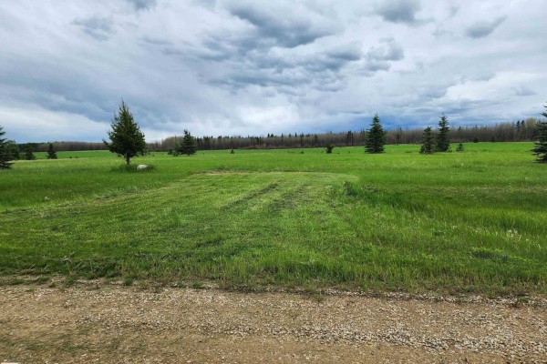 13 465011 Rge Rd 64, Rural Wetaskiwin County, AB T0C0T0 Photo 3
