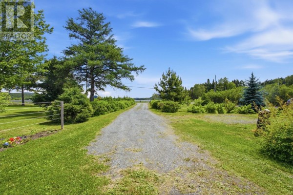 Storage - 13 Balsam Lane, Traytown, NL A0G4K0 Photo 4