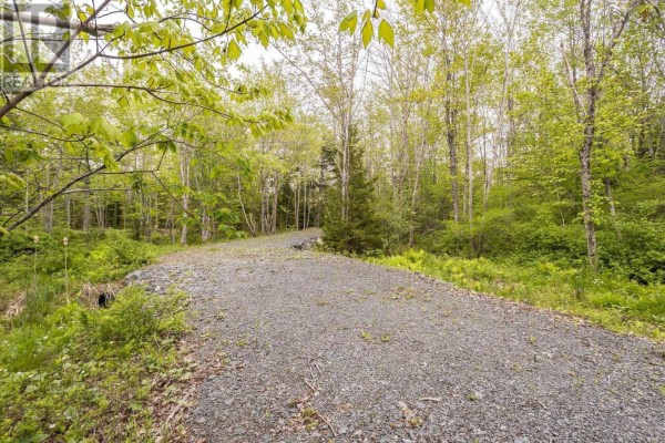 13 Cottage Lane, Windsor Junction, NS B2T1G7 Photo 5