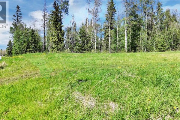 13 Hidden Valley Close, Rural Clearwater County, AB T4T2A2 Photo 4