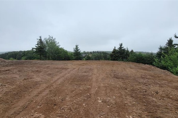 Cleared, level ground with tire tracks and a forested background. - 13 King's Road, Marystown