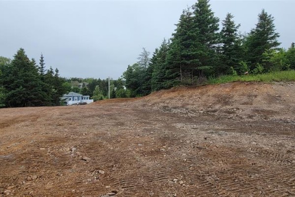 Partially cleared lot with houses visible through scattered pine trees. - 13 King's Road, Marystown