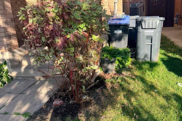 13 Lanternlight Lane, Brampton, ON L7A0T3 Photo 3