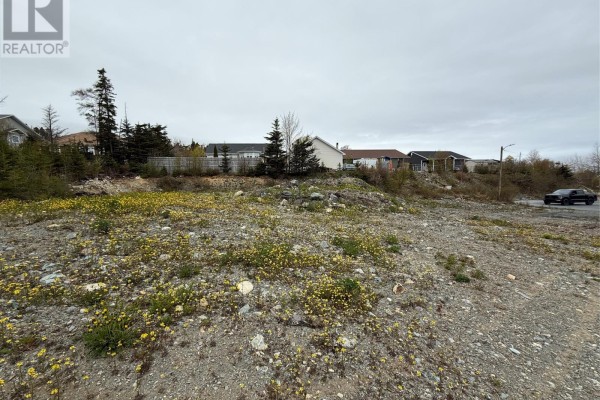 A sloped vacant lot with patchy green vegetation and rocks, surrounded by residential homes. - 13 Shea Place, Bay Roberts