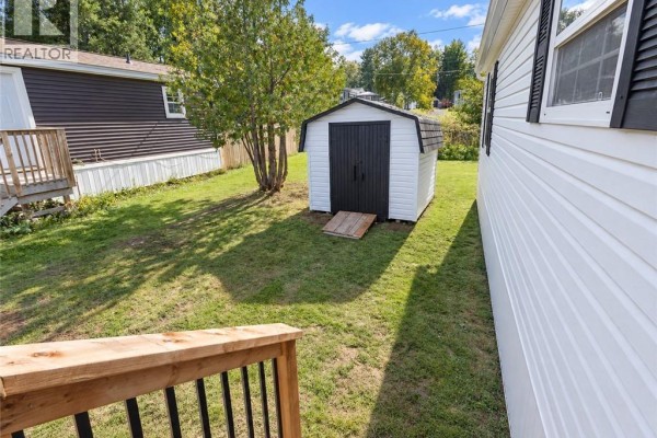 Backyard view with green grass, a small white shed with a black roof, and trees. - 13 Wood Avenue, Lincoln