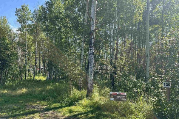 #130 5519 Twp Rd 550, Rural Lac Ste  Anne County, AB, photo 3