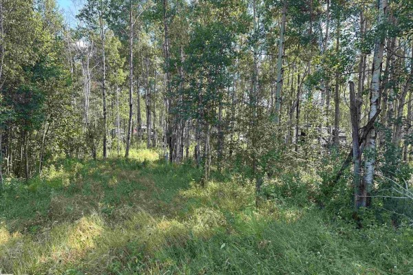 #130 5519 Twp Rd 550, Rural Lac Ste  Anne County, AB T0E0L0 Photo 4