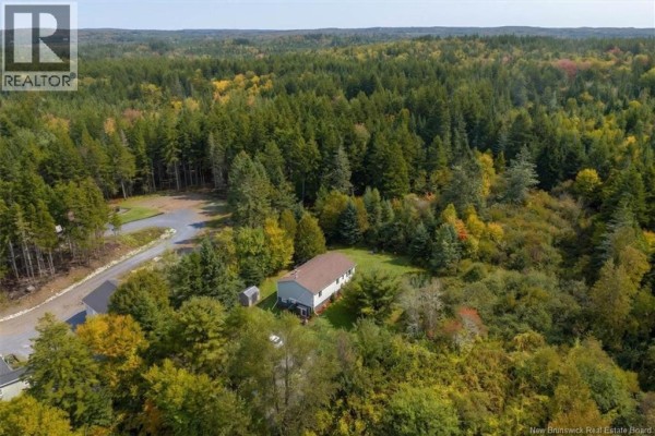 Aerial view of a house nestled in a dense forest with autumn foliage and a nearby road. - 130 Hillcrest Road, Saint John