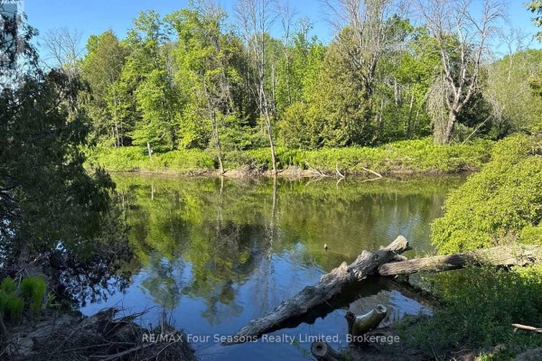 130 Jewel Bridge Road, South Bruce Peninsula, ON N0H2G0 Photo 5