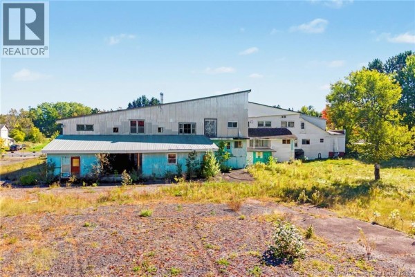 Rear view of commercial building with attached smaller structures and overgrown vegetation in the foreground. - 130 Main Street, Chipman
