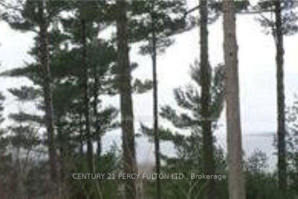 126 Nippissing Ridge Road, Tiny, ON, photo 3