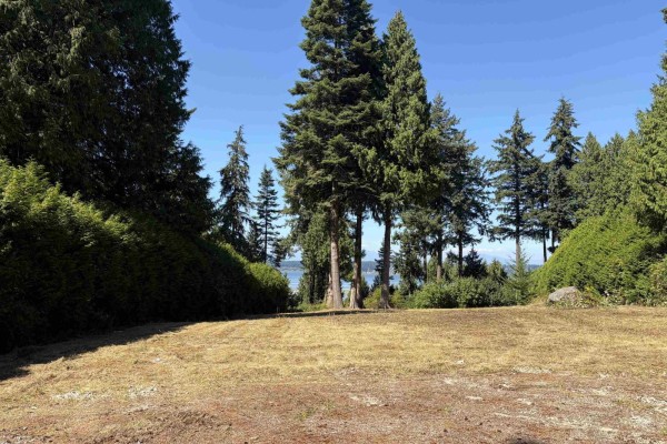 13005 Crescent Road, Surrey, BC V4P1J6 Photo 3