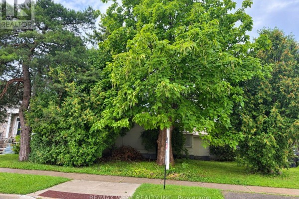 1304 Alexandra Avenue, Mississauga, ON L5E2A6 Photo 3