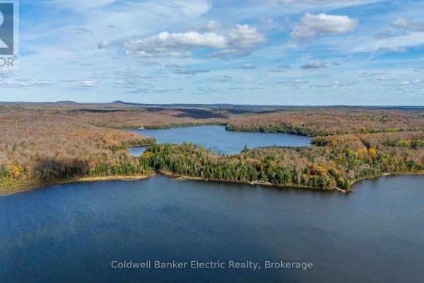 1304 Lower Monmouth Lake Road, Highlands East, ON K0L2Y0 Photo 2