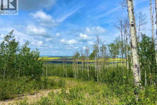 13062 Prince Subdivision, Dawson Creek, BC, photo 2