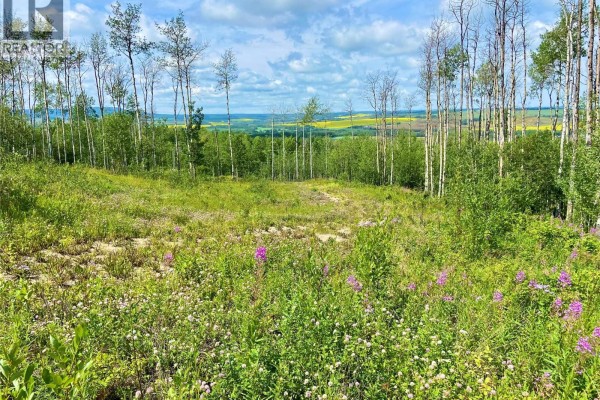 13062 Prince Subdivision, Dawson Creek, BC, photo 3
