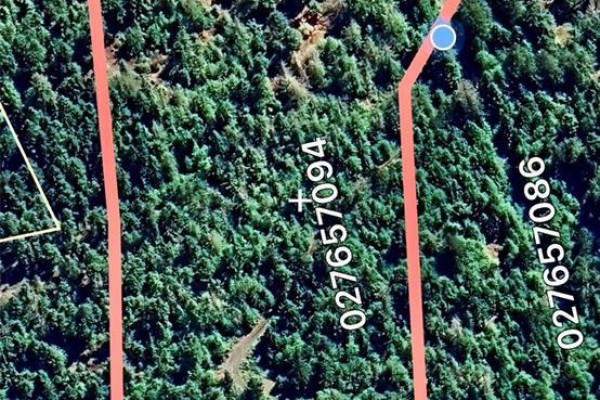 1309 Gorge Harbour Rd, Cortes Island, BC V0P1K0 Photo 5