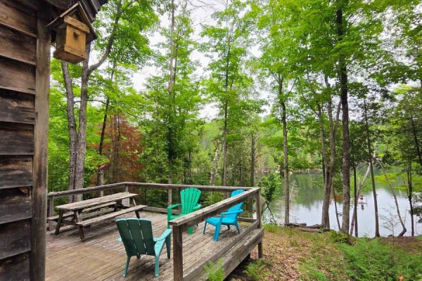 130a Finnegan Lane, Wollaston, ON K0L1P0 Photo 2