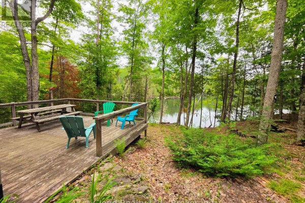 130a Finnegan Lane, Wollaston, ON K0L1P0 Photo 3