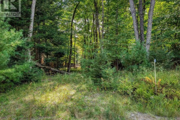 131 Deerfoot Trail, Huntsville, ON P1H0A8 Photo 2