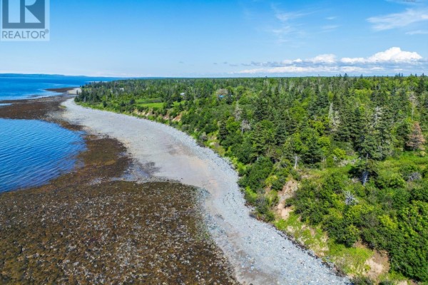 Rocky shoreline with ocean and wooded area under a blue sky. - 131 Doty Branch, Ashmore