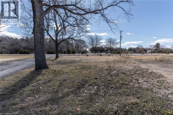 131 Highway 6, Simcoe, ON N3Y4K2 Photo 2