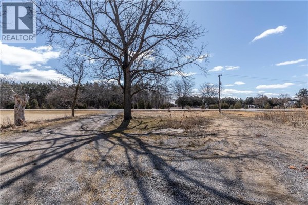 131 Highway 6, Simcoe, ON N3Y4K2 Photo 3