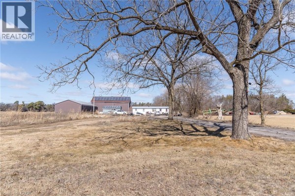 131 Highway 6, Simcoe, ON N3Y4K2 Photo 4