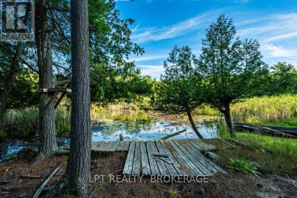 Sunroom - 131 Leisure Point Road, Rideau Lakes, ON K0G1X0 Photo 4