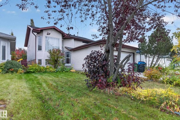 Kitchen - 13111 36 St Nw, Edmonton, AB T5A5C7 Photo 2