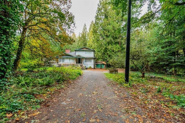 13127 28 Avenue, Surrey, BC V4P1K1 Photo 5