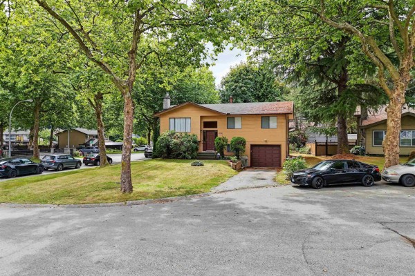 13128 Doone Place, Surrey, BC V3V6R8 Photo 3