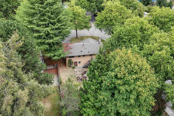 13128 Doone Place, Surrey, BC V3V6R8 Photo 5