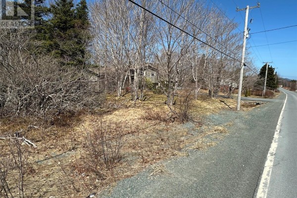 Wooded area with bare trees and some greenery, next to a gravel road. - 132-136 Station Road, Avondale