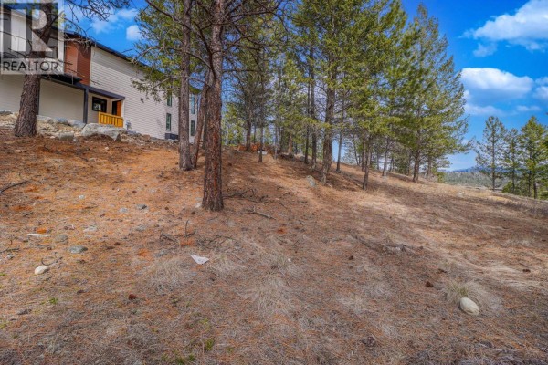 Overhead view of a wooded lot with a house, driveway, and paved road. - 132 Plateau Place, Cranbrook