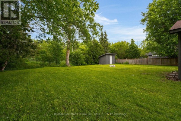 Kitchen - 132 Queen Street W, Springwater, ON L0L1P0 Photo 3