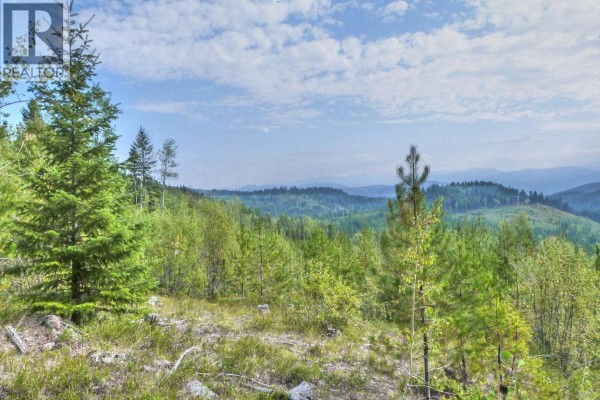13200 Eholt-jewel Lake Road, Greenwood, BC V0H1J0 Photo 4