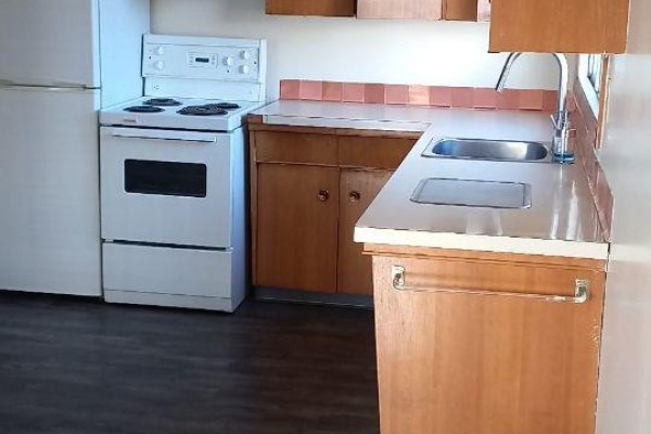13205 118 Avenue Nw, Edmonton, AB  Photo 3