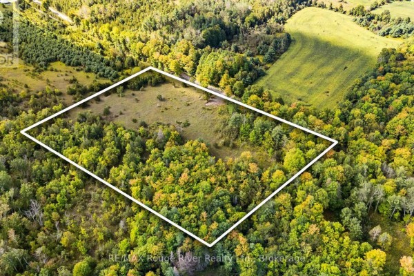 1321 Crowe River Road N, Trent Hills, ON K0L1L0 Photo 2