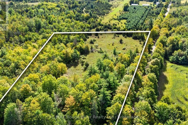 1321 Crowe River Road N, Trent Hills, ON K0L1L0 Photo 4