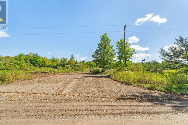 1321 Crowe River Road N, Trent Hills, ON K0L1L0 Photo 5