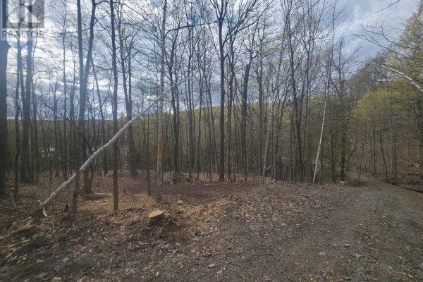 1325 Andek Trail, Highlands East, ON K0M2A0 Photo 2