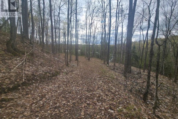 1325 Andek Trail, Highlands East, ON K0M2A0 Photo 4