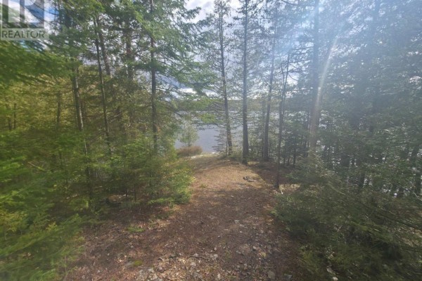 1325 Andek Trail, Highlands East, ON K0M2A0 Photo 5