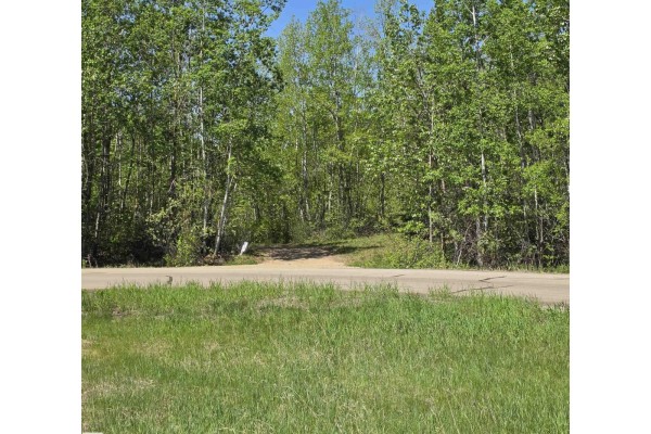 133 52039 Range Road 213, Rural Strathcona County, AB T8G1B4 Photo 4