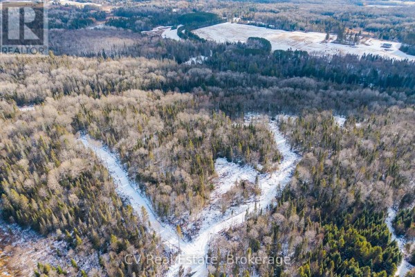 Aerial view of snow-covered land with mixed forest and a winding path. - 133 Berriedale Road, Armour