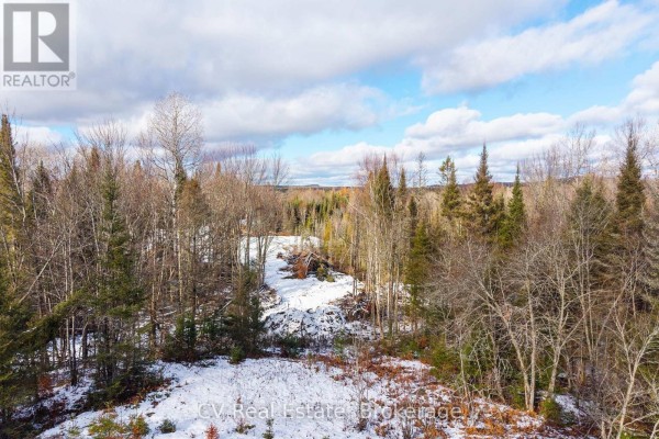 Open area with snow and tree stumps, bordered by dense forest. - 133 Berriedale Road, Armour