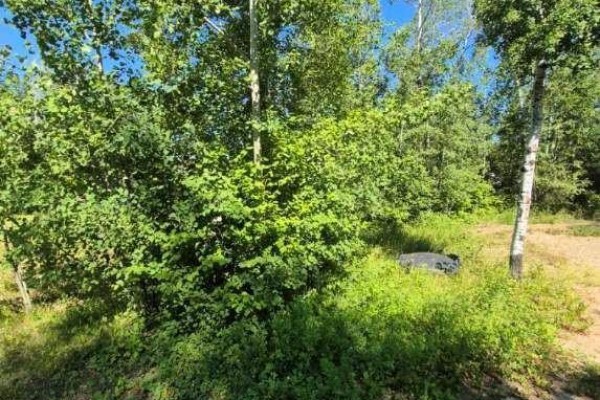 133 Birchwood Avenue, Canwood Rm No  494, SK S0J0Y0 Photo 5