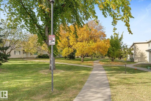 Concrete pathway through a green park with trees displaying vibrant yellow and green autumn leaves. - 13307 89a St Nw, Edmonton