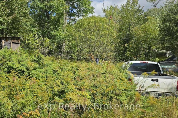 1331 Miller Road, Magnetawan, ON P0A1P0 Photo 4